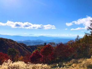 横谷展望台